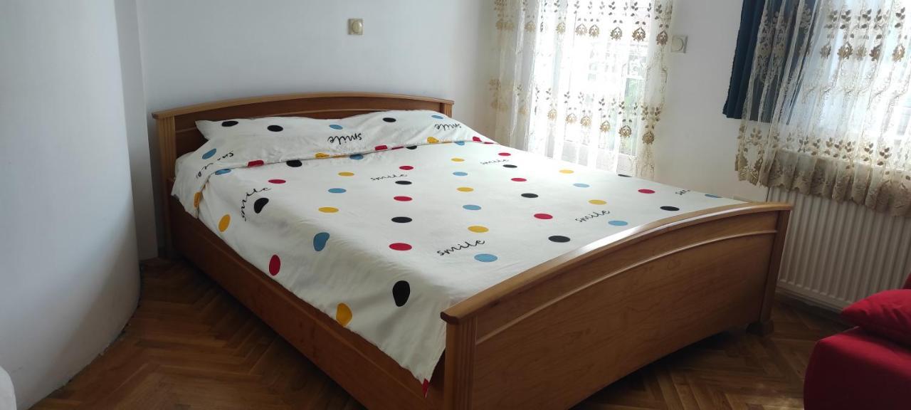Vila Sentic Vranje Luaran gambar