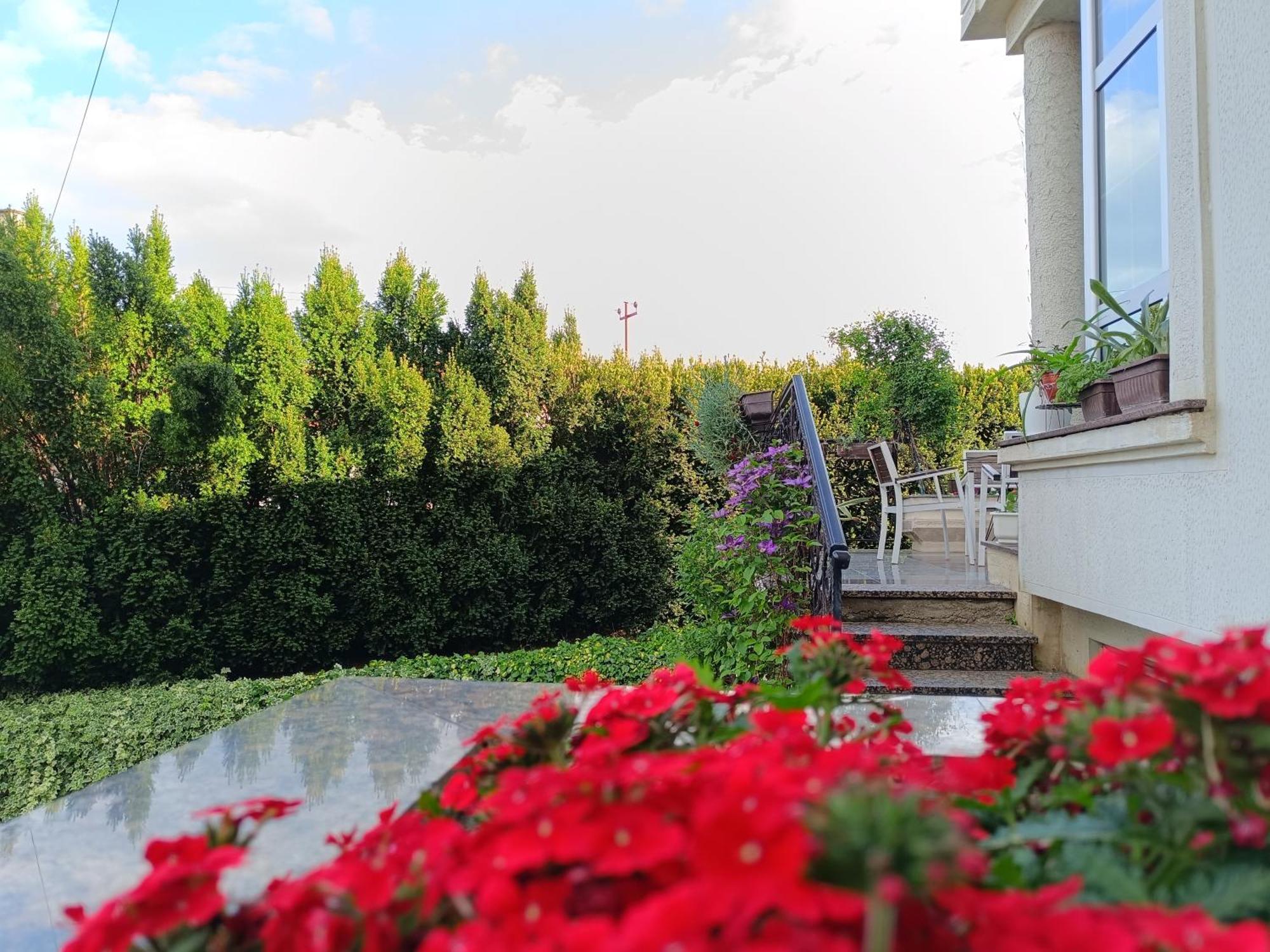 Vila Sentic Vranje Luaran gambar