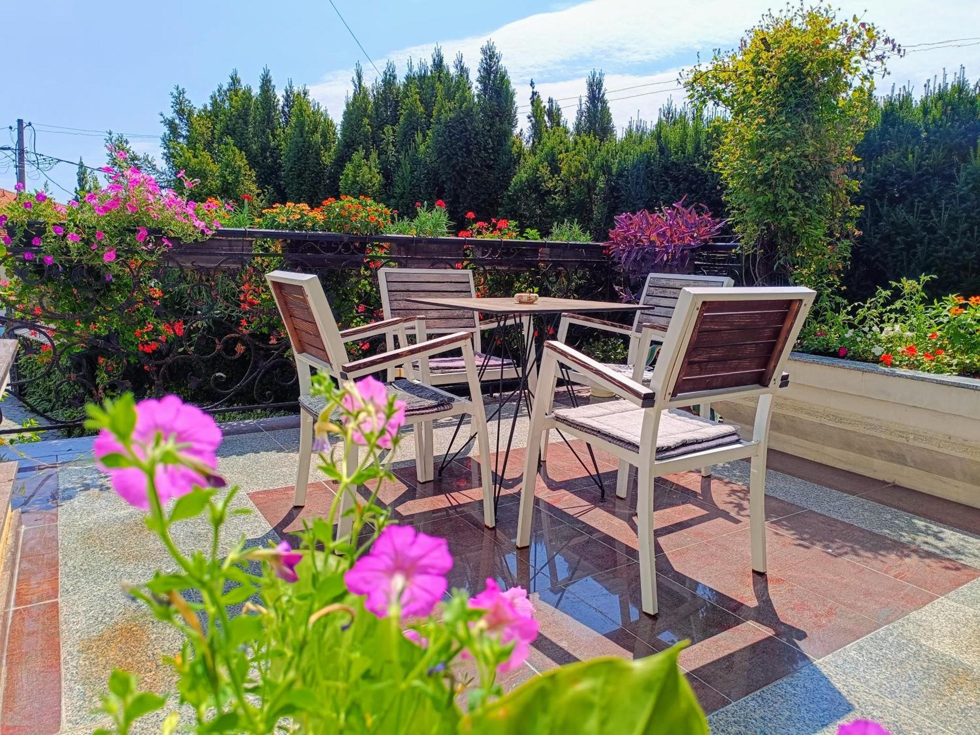 Vila Sentic Vranje Luaran gambar