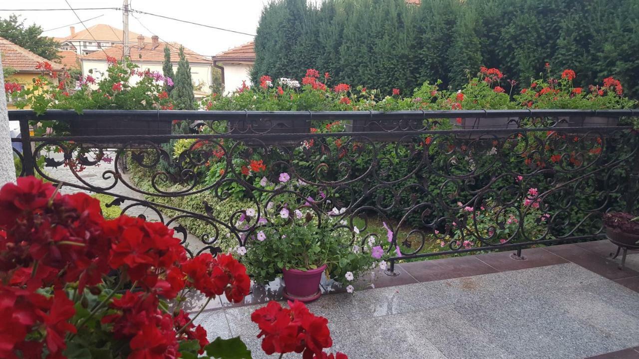 Vila Sentic Vranje Luaran gambar