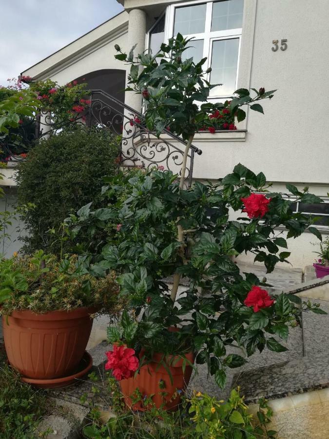 Vila Sentic Vranje Luaran gambar