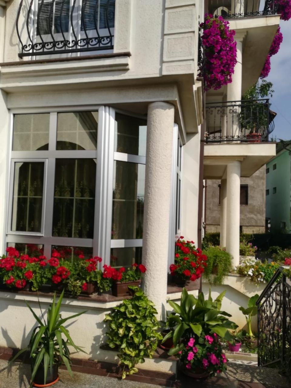 Vila Sentic Vranje Luaran gambar
